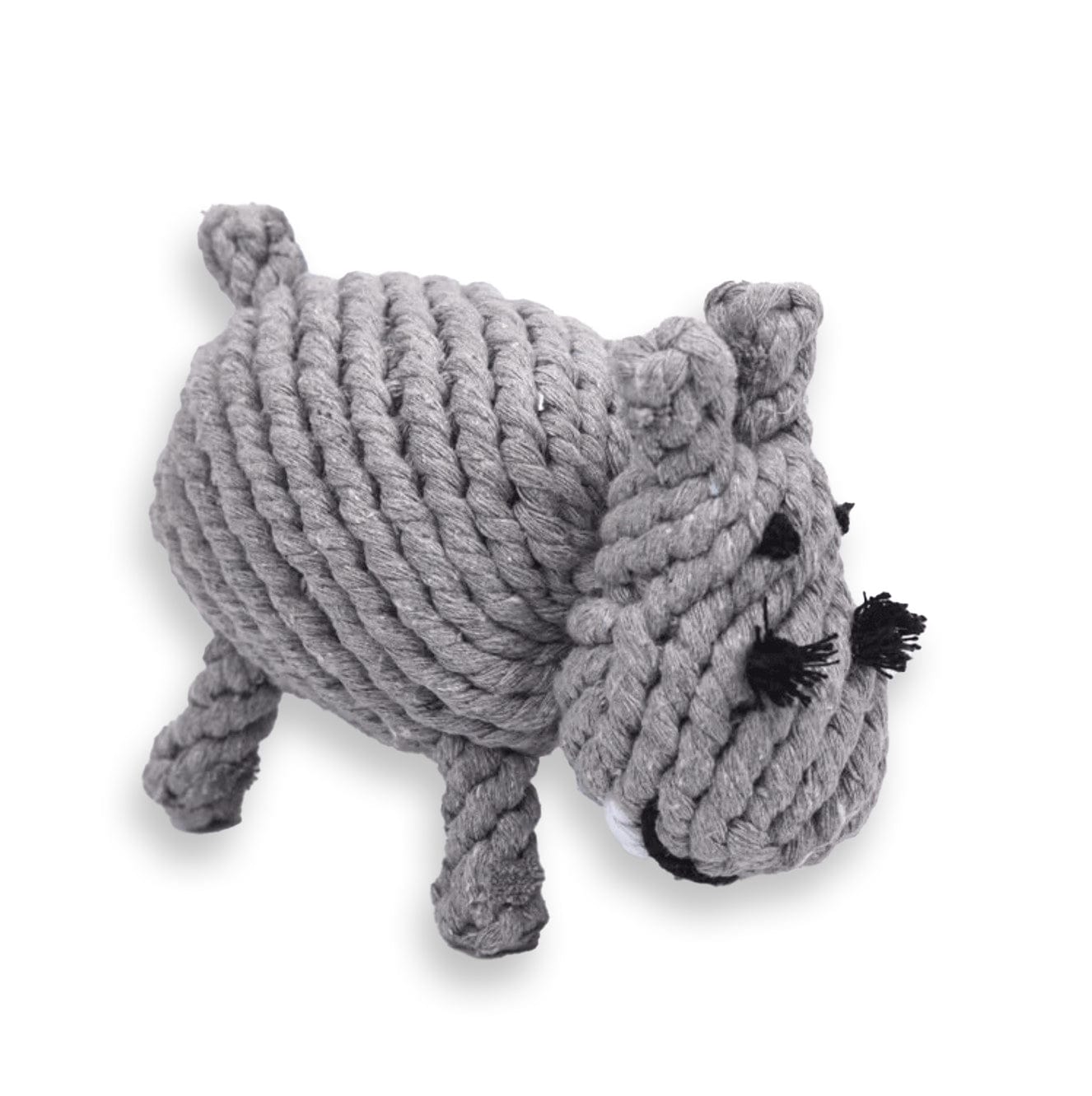 Rhino